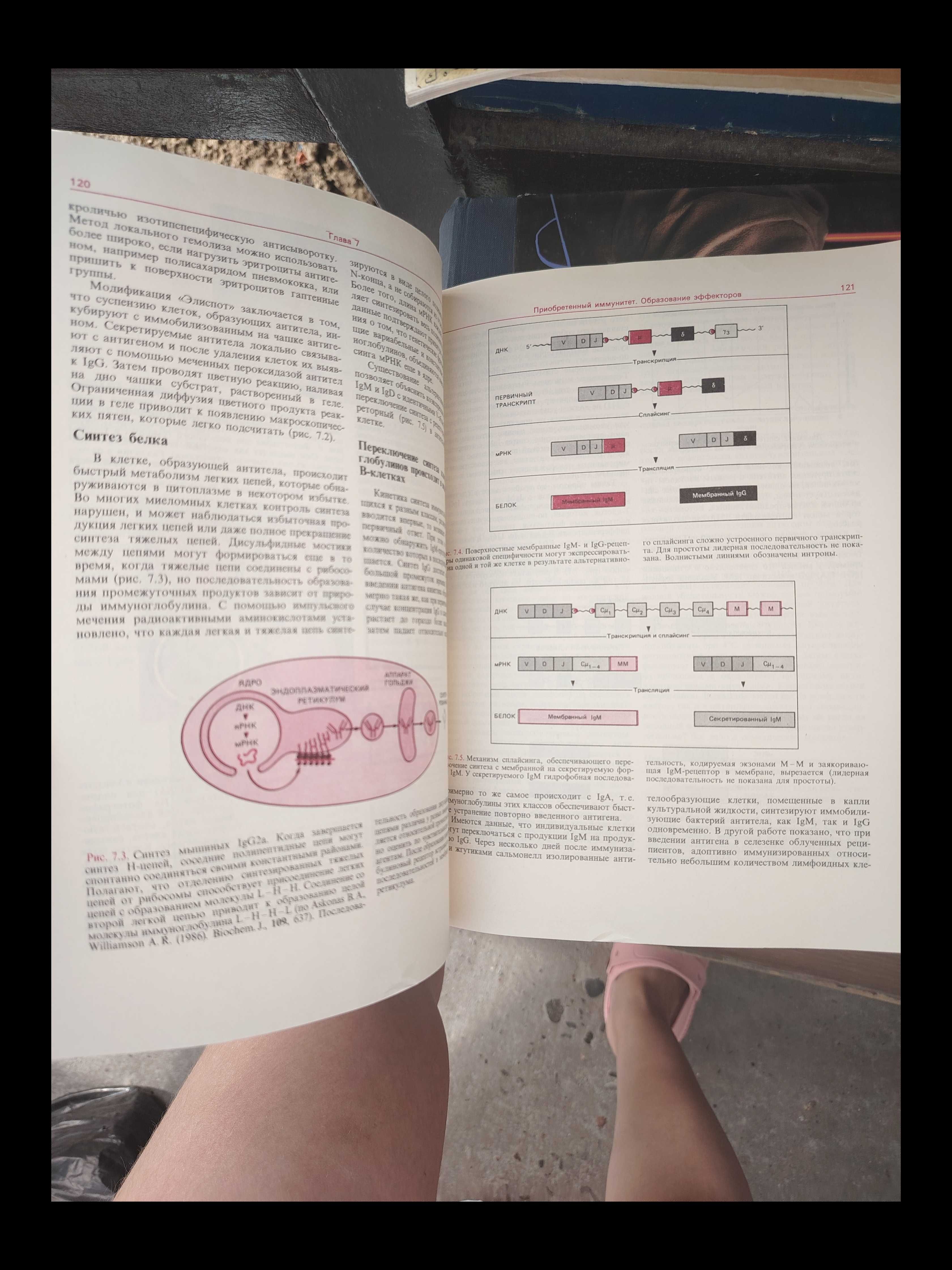 Продам медицинские книги