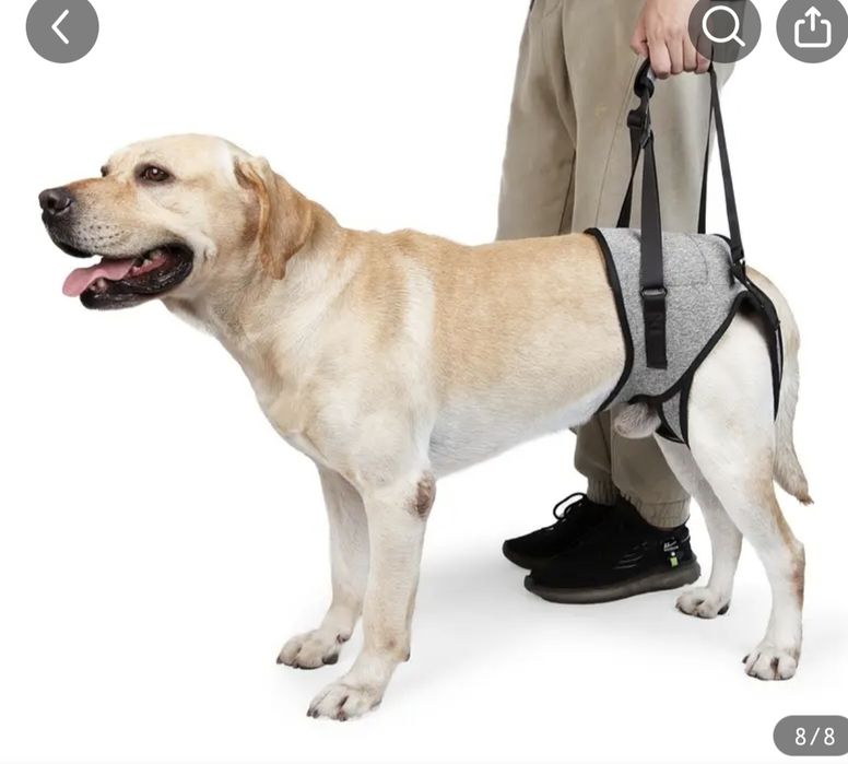 Повязка для поддержки задних лап собак