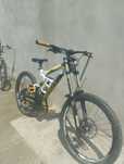 Scott gambler 10 2011