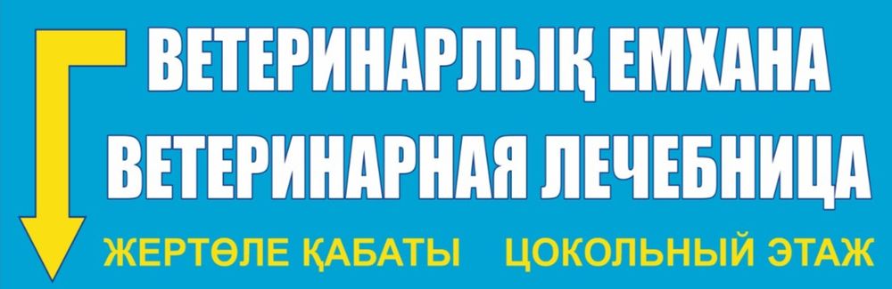Ветеринарная лечебница, вызов врача на дом. Предварительно звоните
