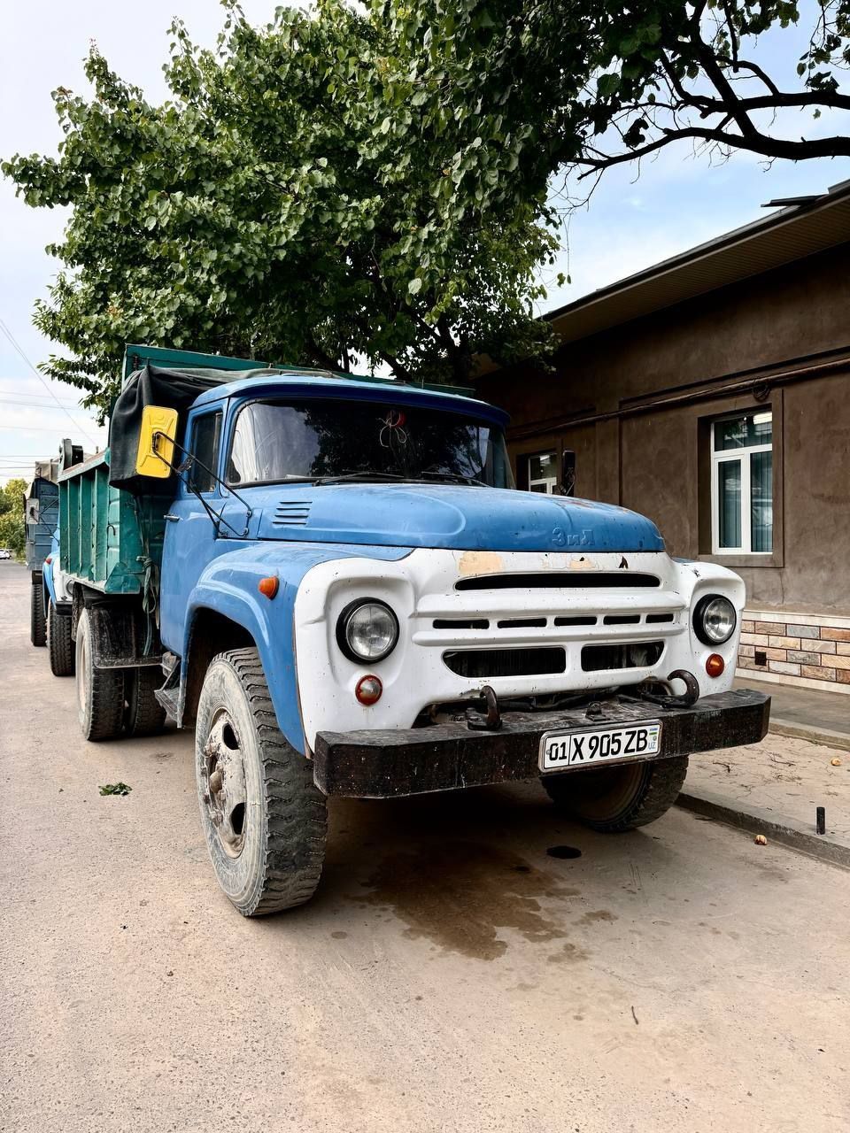 Samasval zil yili 1991