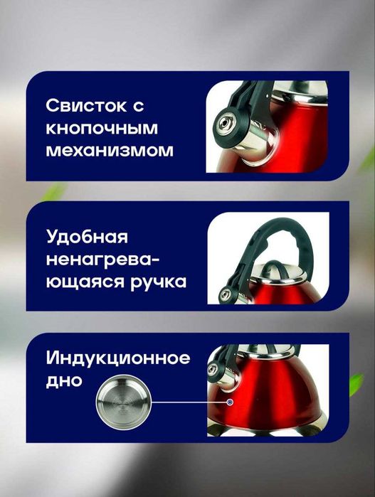 Чайник со свистком металлический Zepter для всех видов плит, 3.5 литра