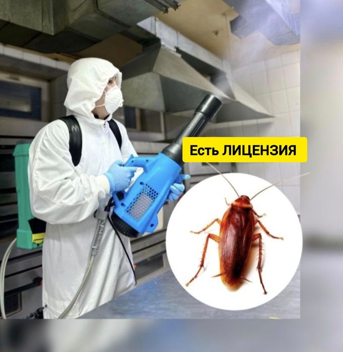 Гарантированная Дезинфекция тараканы клопов блох муравьев