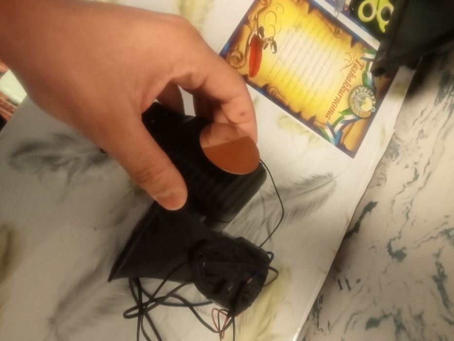 Serena migalka holati idial