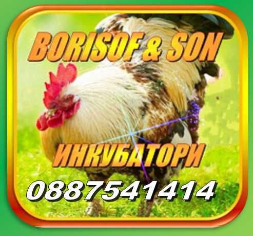 Инкубатори   български - Borisof & son