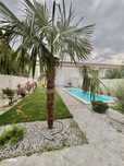 Vila de Lux cu piscina, 6 camere, Dumbravita