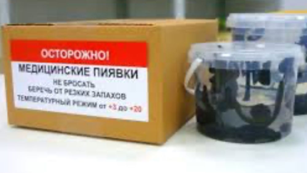 Пиявки оптом и в розницу! Сертификат! Пиявки в Атырау! Обучение!