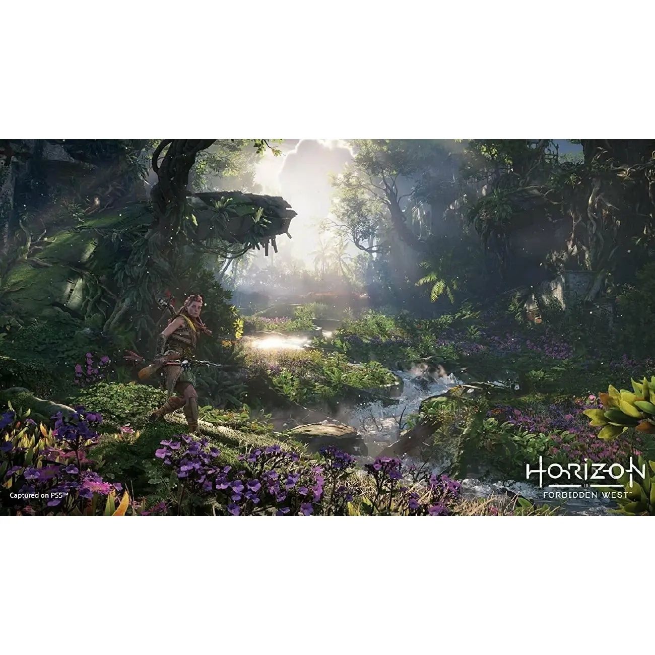 Игра Horizon Forbidden West