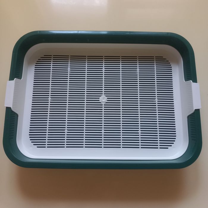 Лоток для маленьких котят