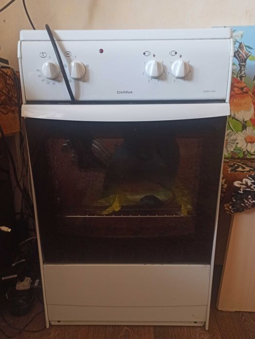 Электроплита DARINA