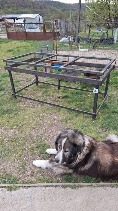 Masă vibrantă 2x1m