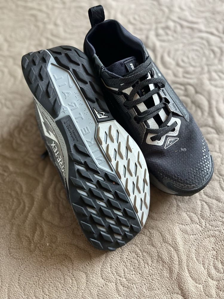 Nike Pegasios Gore tex