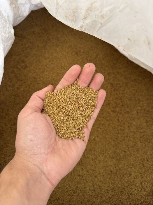 Семе люцерна Приста 3