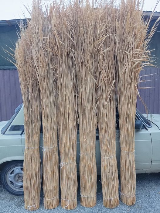 Камиш култаси 4000 сум