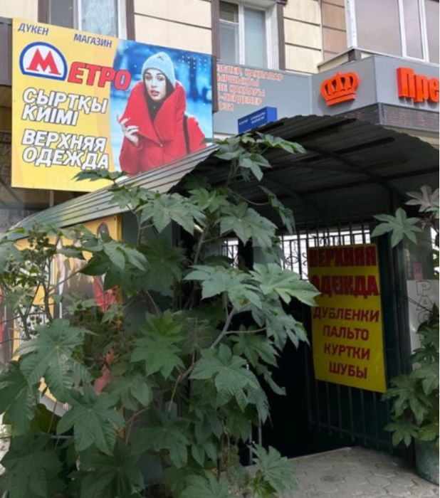 Торговая площадь в аренду