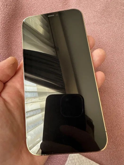 iPhone 12 Pro Max Gold 256 GB