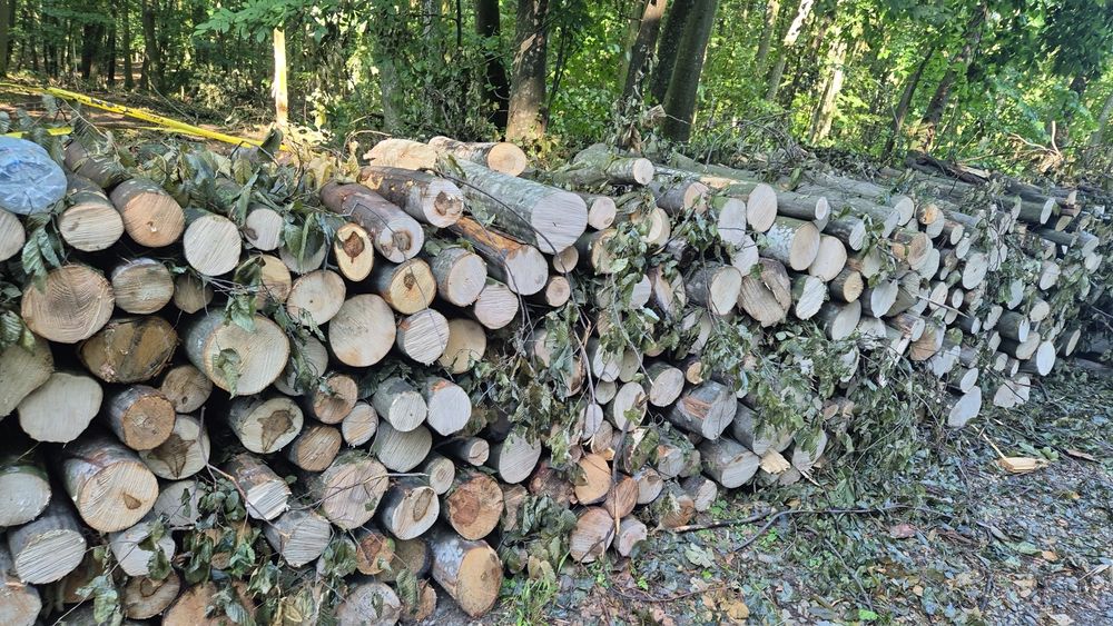 Vând lemn foc transport inclus tăiate la dimensiunea dorita