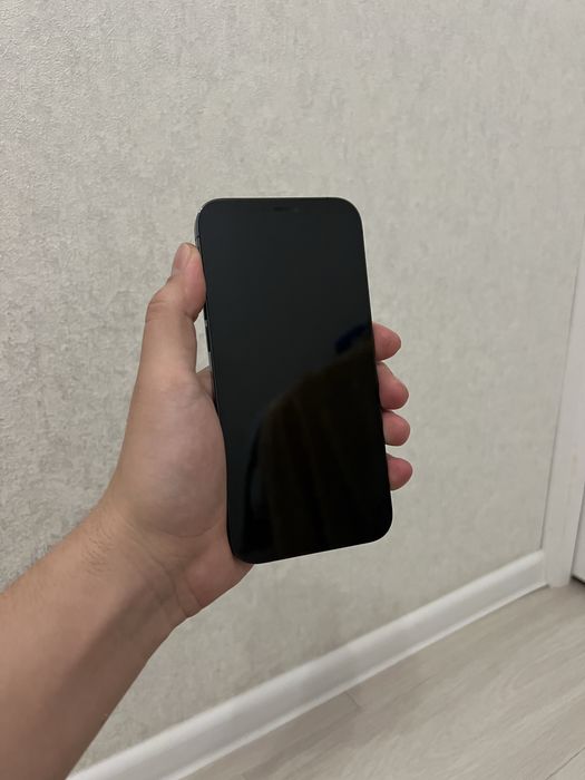 iphone 12 pro max 256 gb