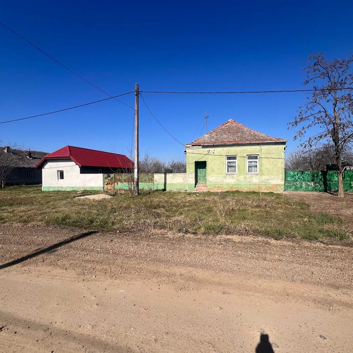 Vand doua case cu teren intravilan in suprafata totala de 8.934 mp.