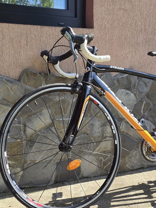 Cursiera Athletic Strada