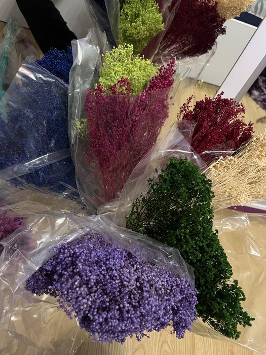 Flori uscate pt aranjamente