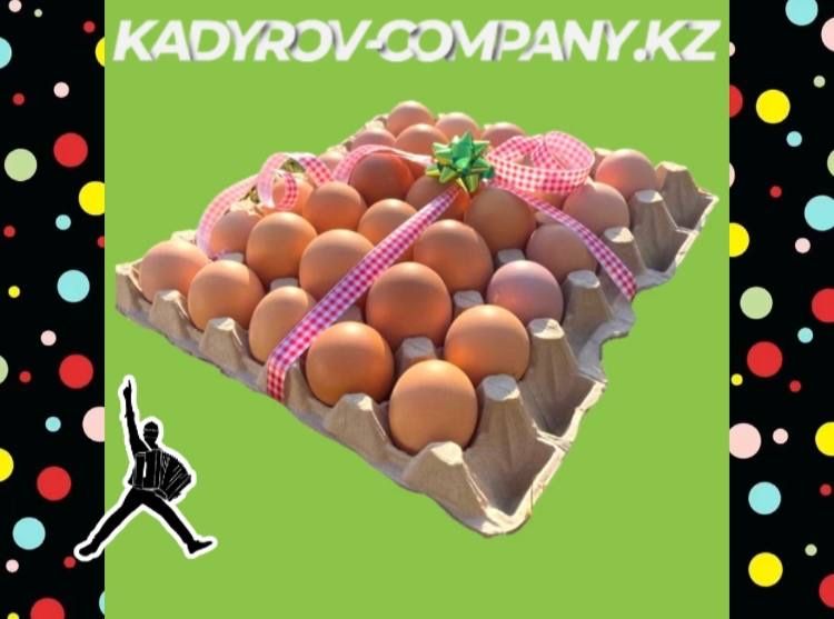 Разнообразие инкубационных яиц кур для успешного старта