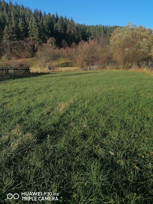 Teren de Vânzare in Sadova