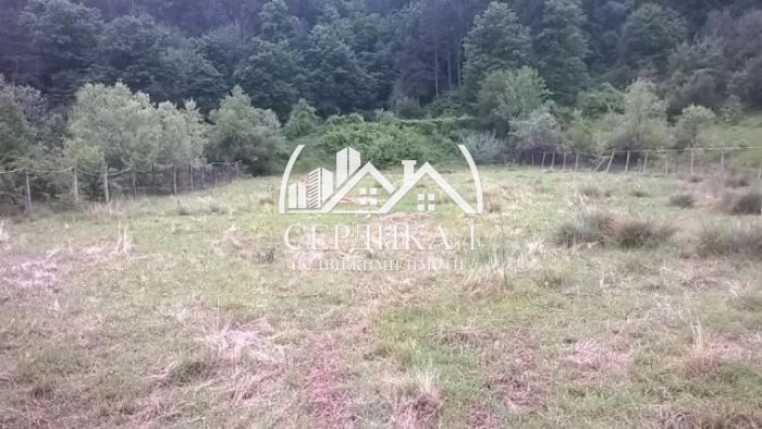 Продава се Парцел в с. Панчарево, Област София-град - 2482 кв.м за 133 €/кв.м - Снимка #2