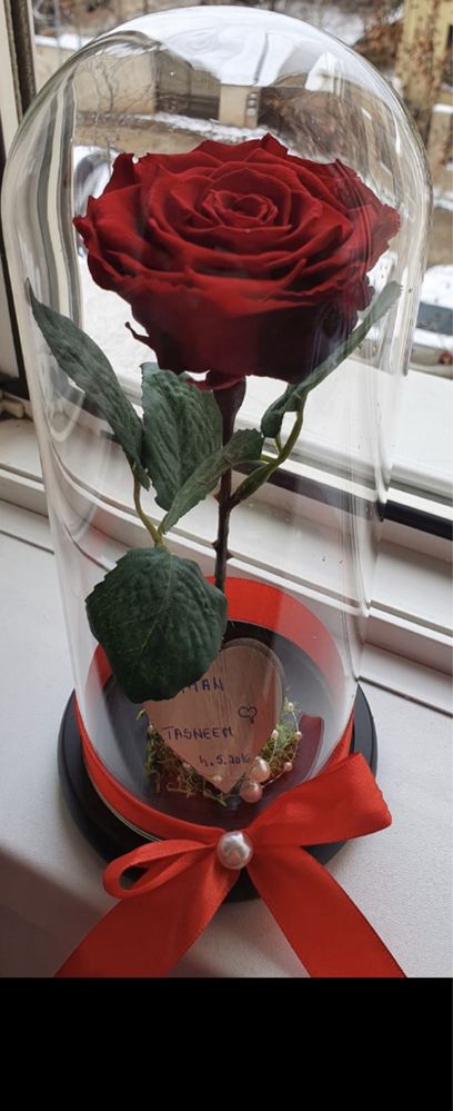 Cupola cu trandafir criogenat 25 cm 150 lei