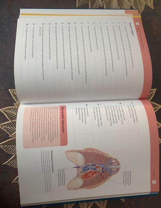 Anatomy Student’s Revision WorkbooK