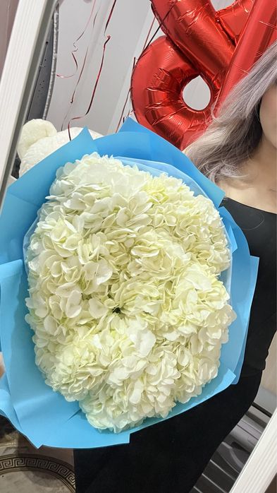 гортензия свежие сегодня подарили