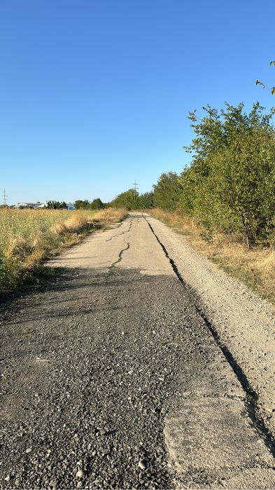 Teren soseaua Cernica-Pantelimon,350mp lebada lac