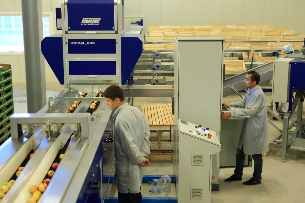 ПРОДАЁТСЯ Сортиров. и уп. линия UNICAL 600S OC. Unitec S.p.A (Италия)