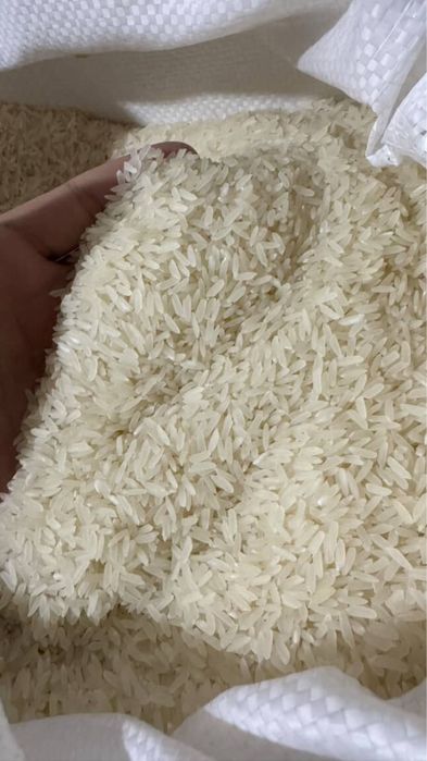 Lazer Guruch bor kg tonagayam