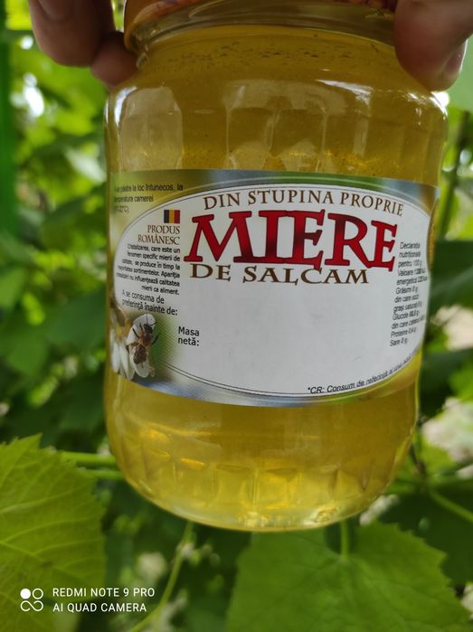 Miere de salcâm și miere polifloră