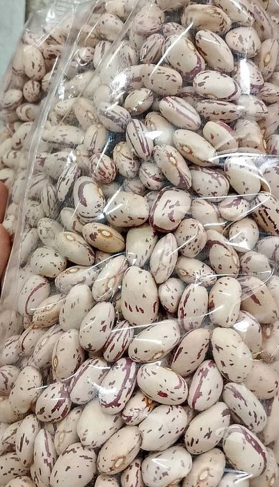 Fasole pestriță Argentina