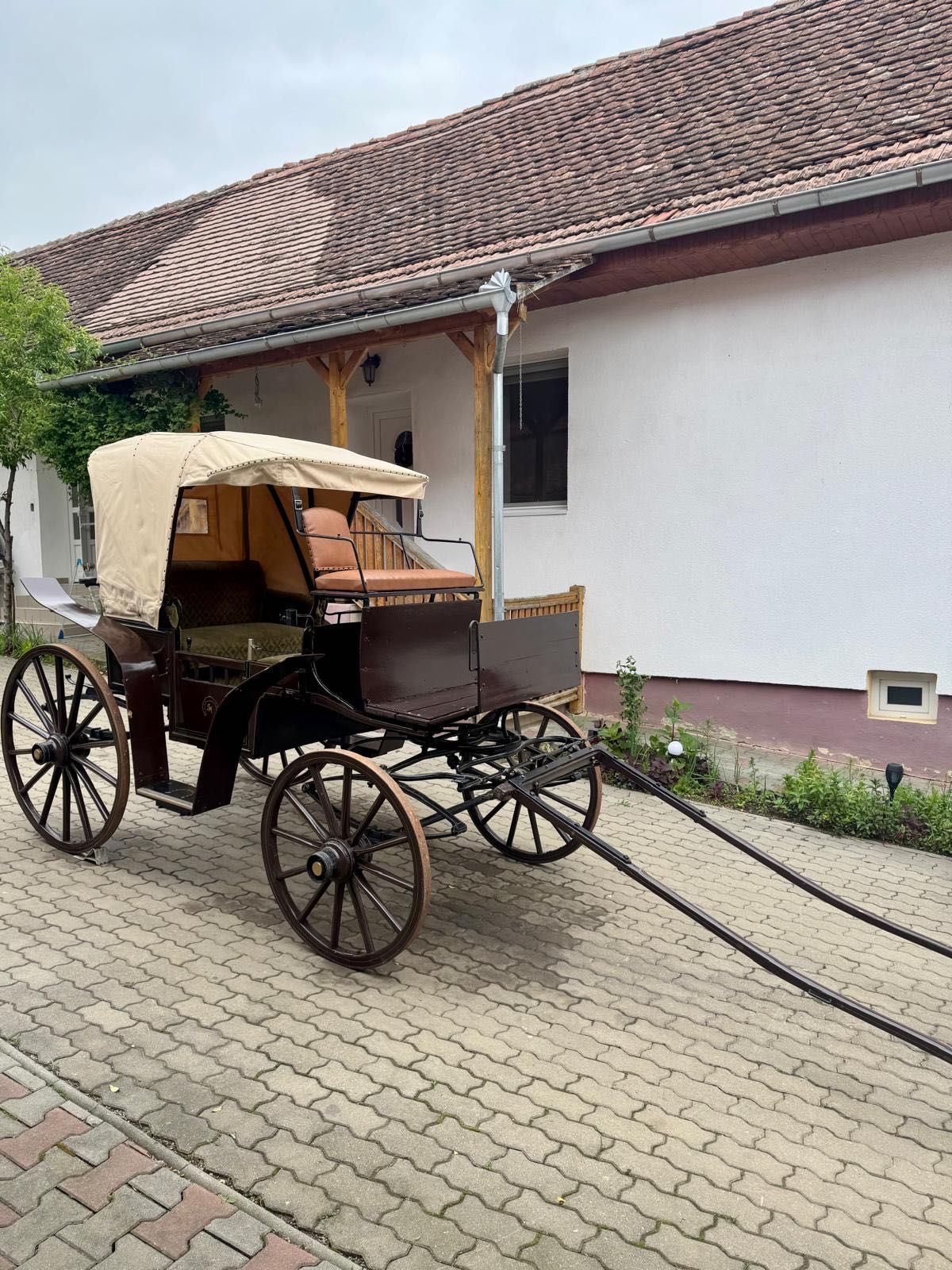 Vând TRĂSURĂ  UNICAT în stare ireproșabilă.