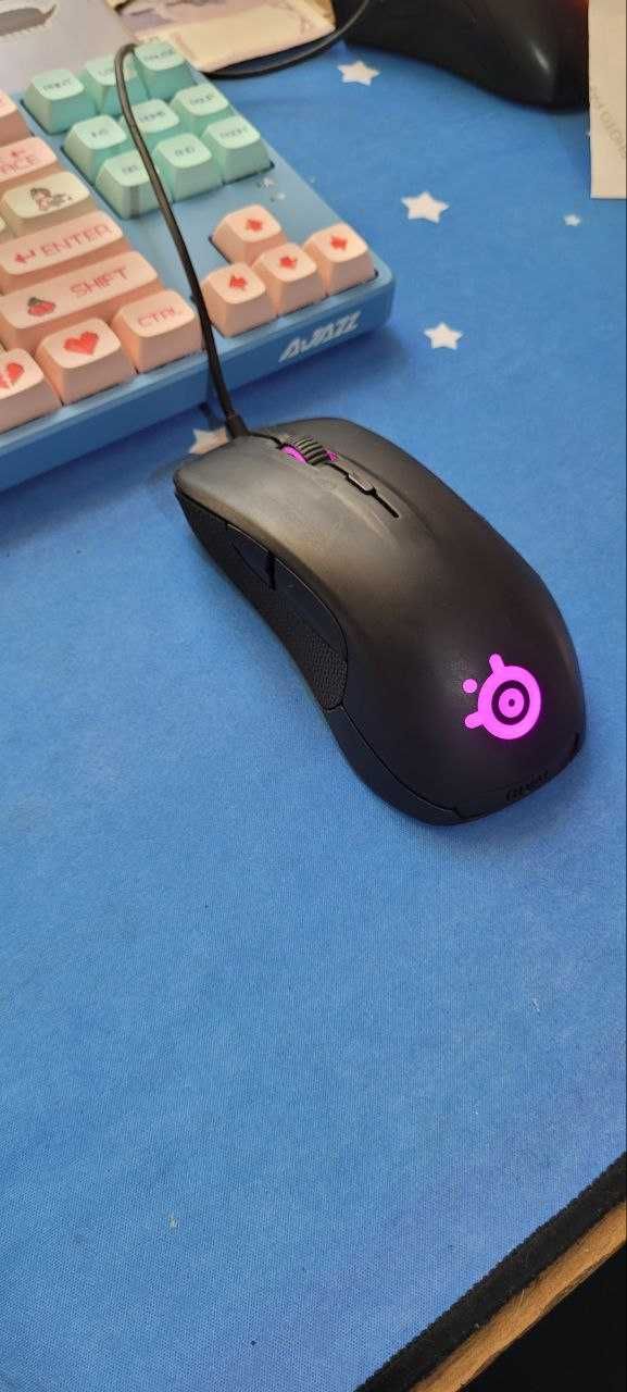 SteelSeries Rival 300