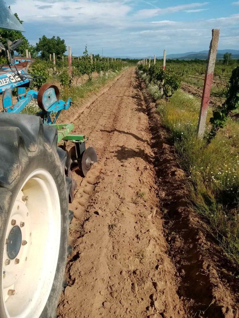 Продава се Земеделски имот в с. Карабунар, Област Пазарджик -  кв.м за 1581 €/дка - Снимка #8