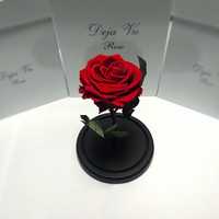 Вечная роза в колбе "Красавица и Чудовище". Подарок маме на 8 марта.