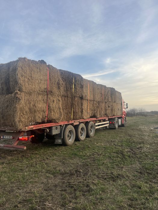 Vand baloti dreptunghiulari