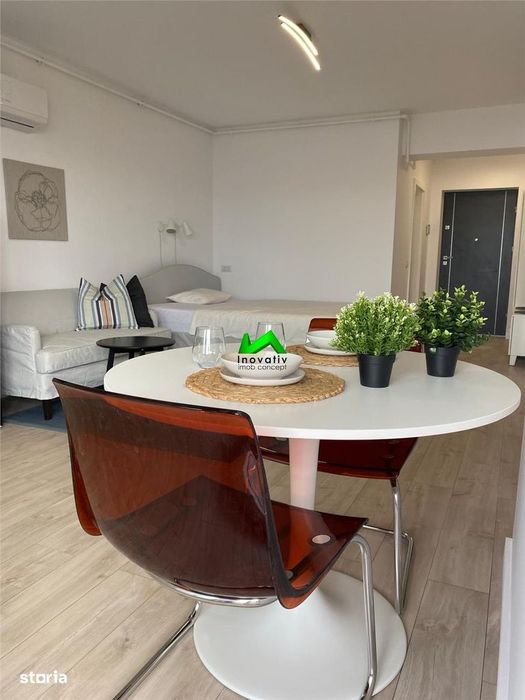 Studio modern de inchiriat Sibiu Doamna Stanca Evo