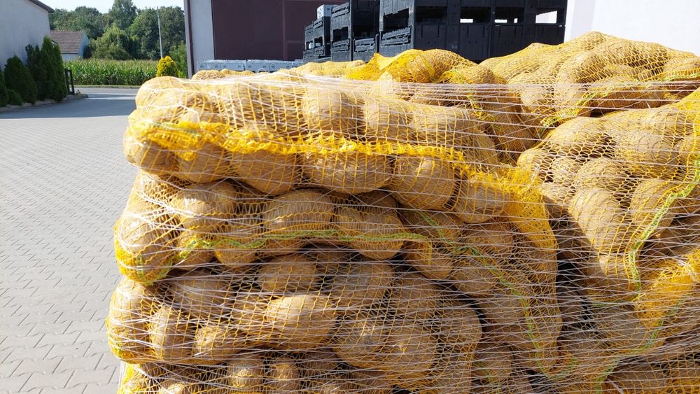 Cartofi pol cantități mari toate soiurile