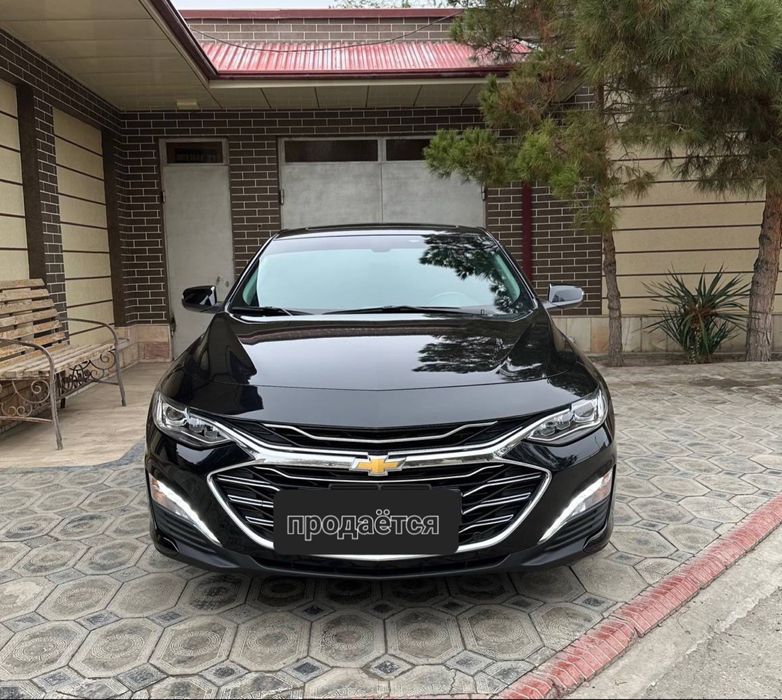 Malibu 2 Primer 2022