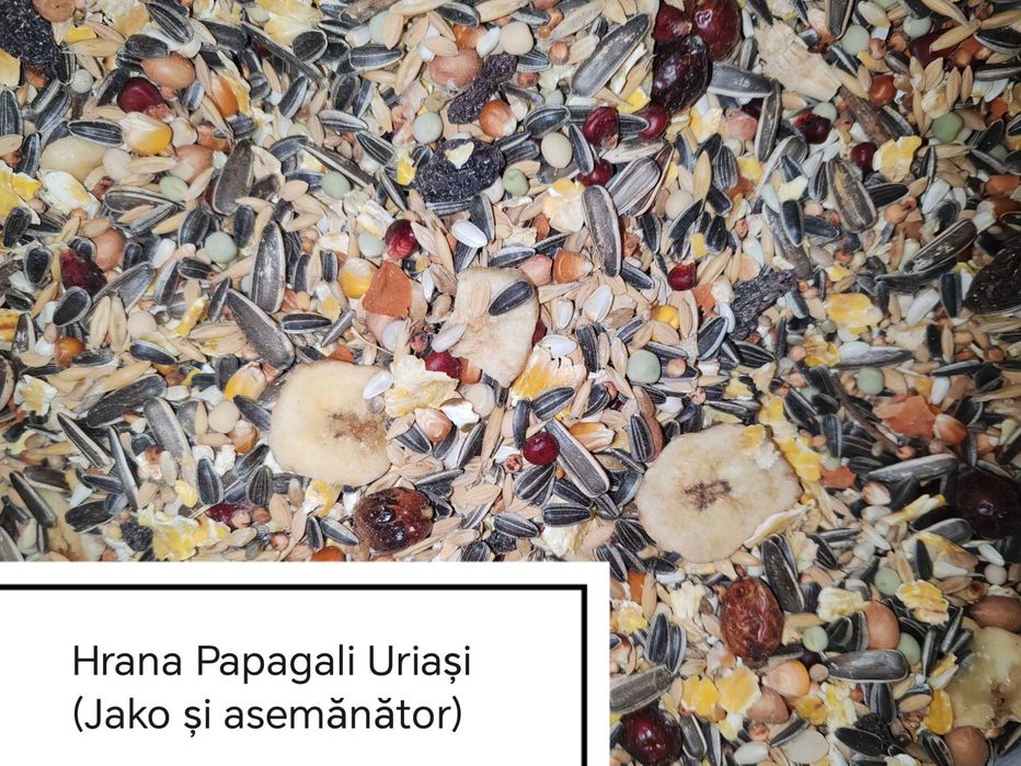 Hrana Peruși,Nimfe Canari,Exotic,Indigen,Papagali Mari