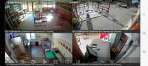 Servicii de pază și securitate – Arad