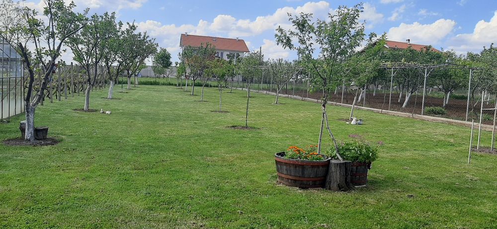 Продава се Къща в с. Нефела, Област Враца - 220 кв.м за 580 €/кв.м - Снимка #6