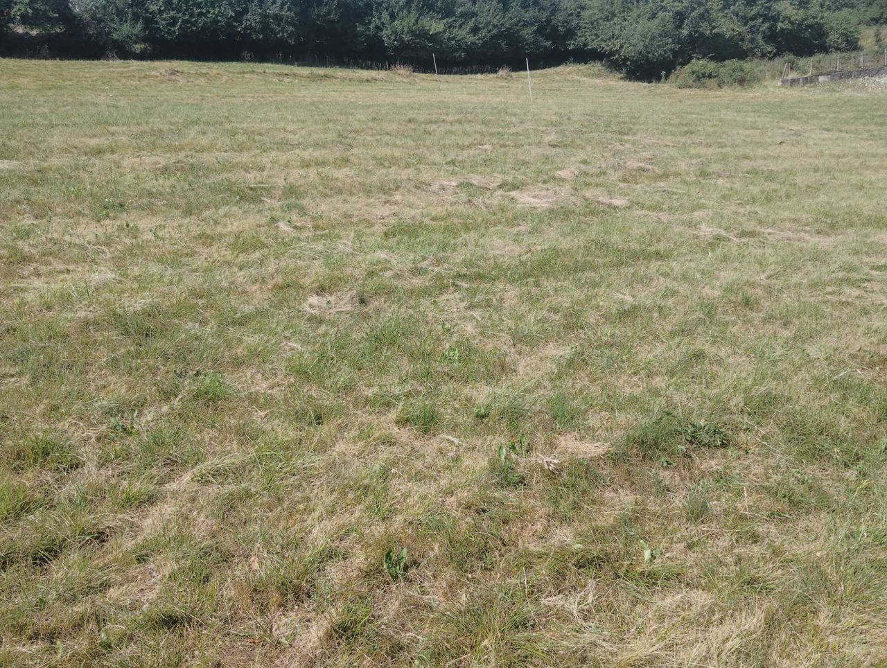 Продава се Парцел в с. Мрамор, Област София-град - 800 кв.м за 38 €/кв.м - Снимка #4