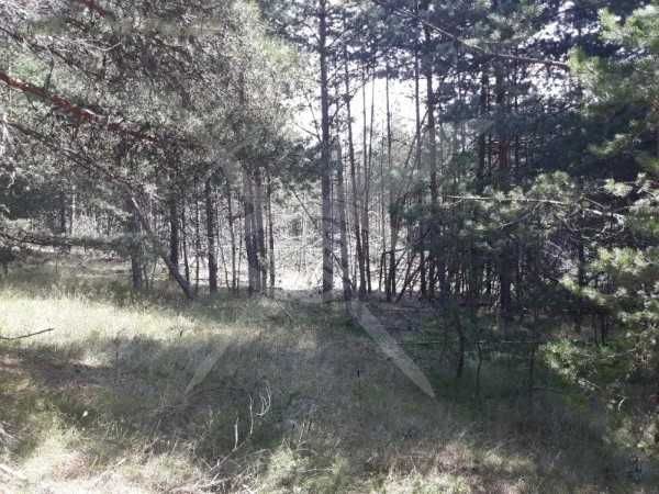 Парцел Студенец 85123