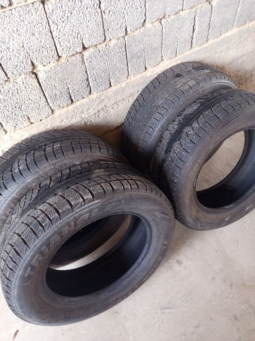 Зимние шины triangle